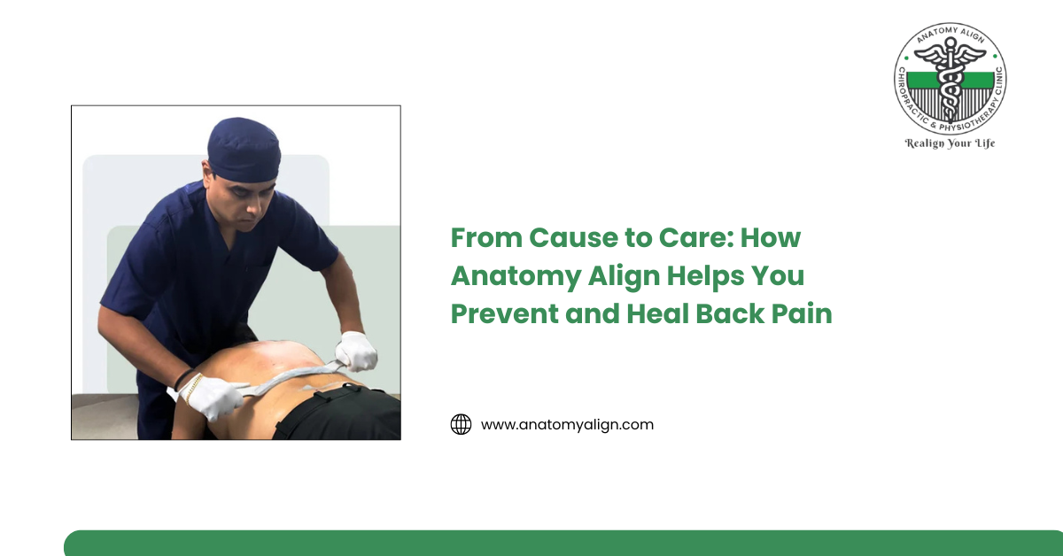 Experienced Chiropractors in Noida